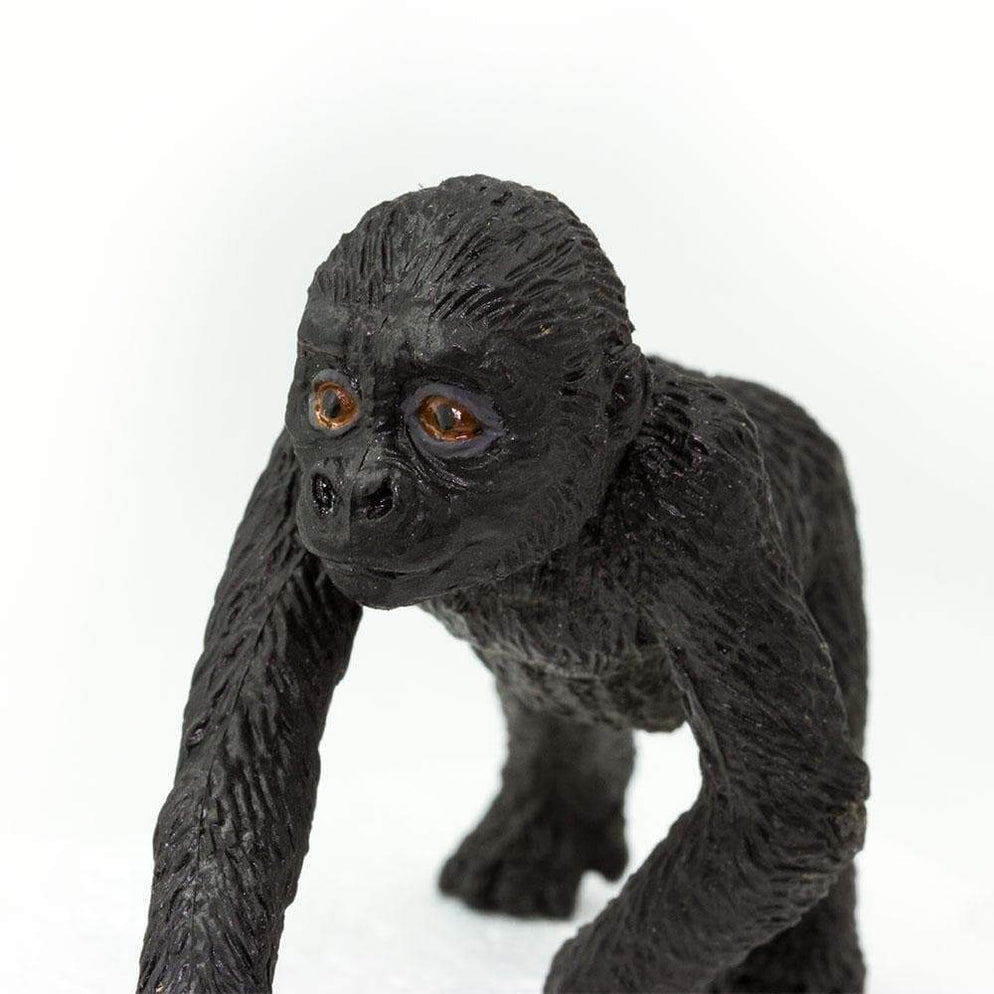 Lowland Gorilla Baby