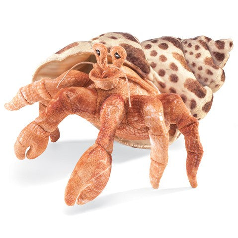 Hermit Crab