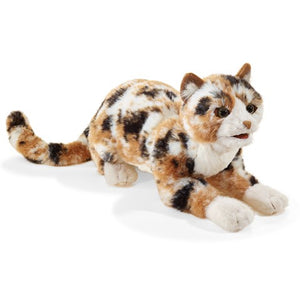 Calico Cat