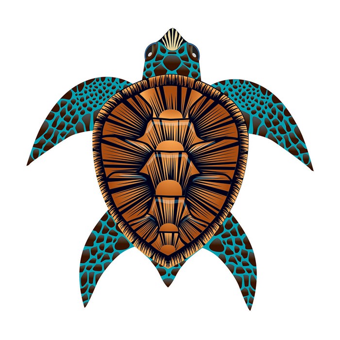 Sea Turtle Sea Life Kite