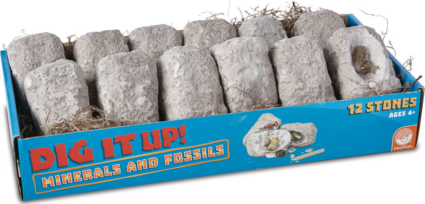 Dig it up! Minerals and Fossils