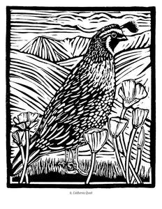 Molly Hashimoto: Birds Coloring Book