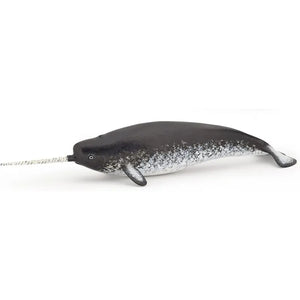 Narwhal
