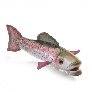 Mini Rainbow Trout