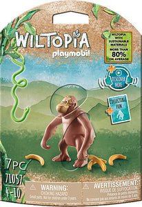 Orangutan