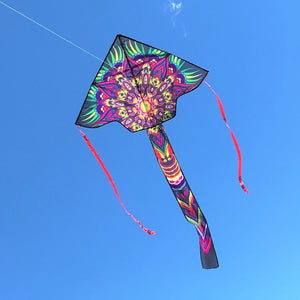 Mandala 45" Fly-Hi Kite