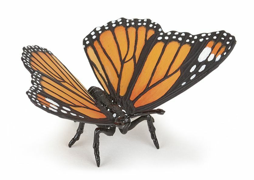 Monarch Butterfly