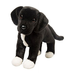 Twister - Black Lab/Pit Mix