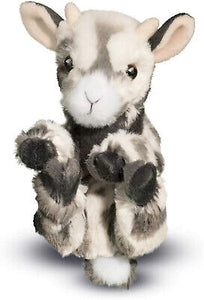 Baby Grey Goat