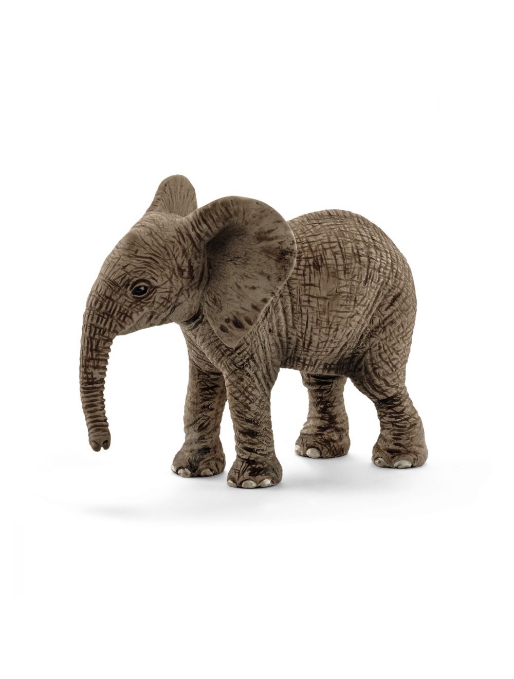 African Elephant Baby