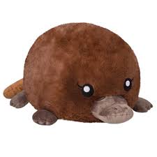 Mini Baby Platypus Squishable