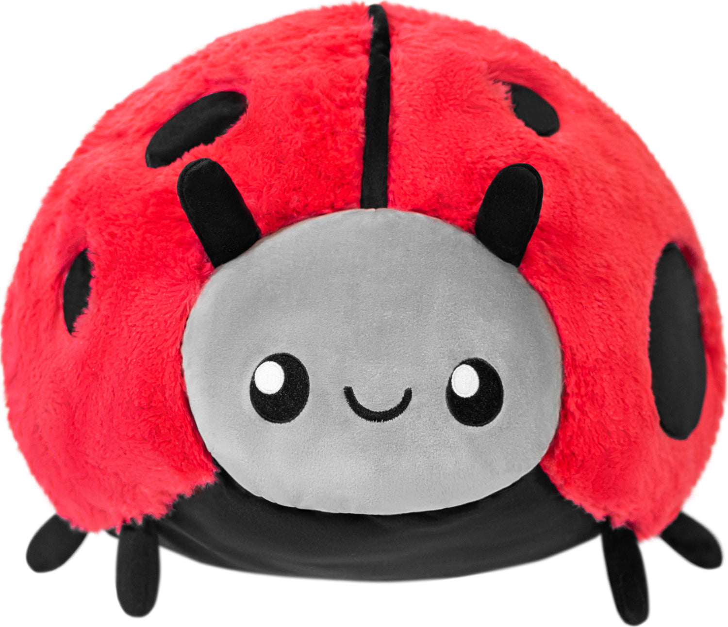 Ladybug II 15”