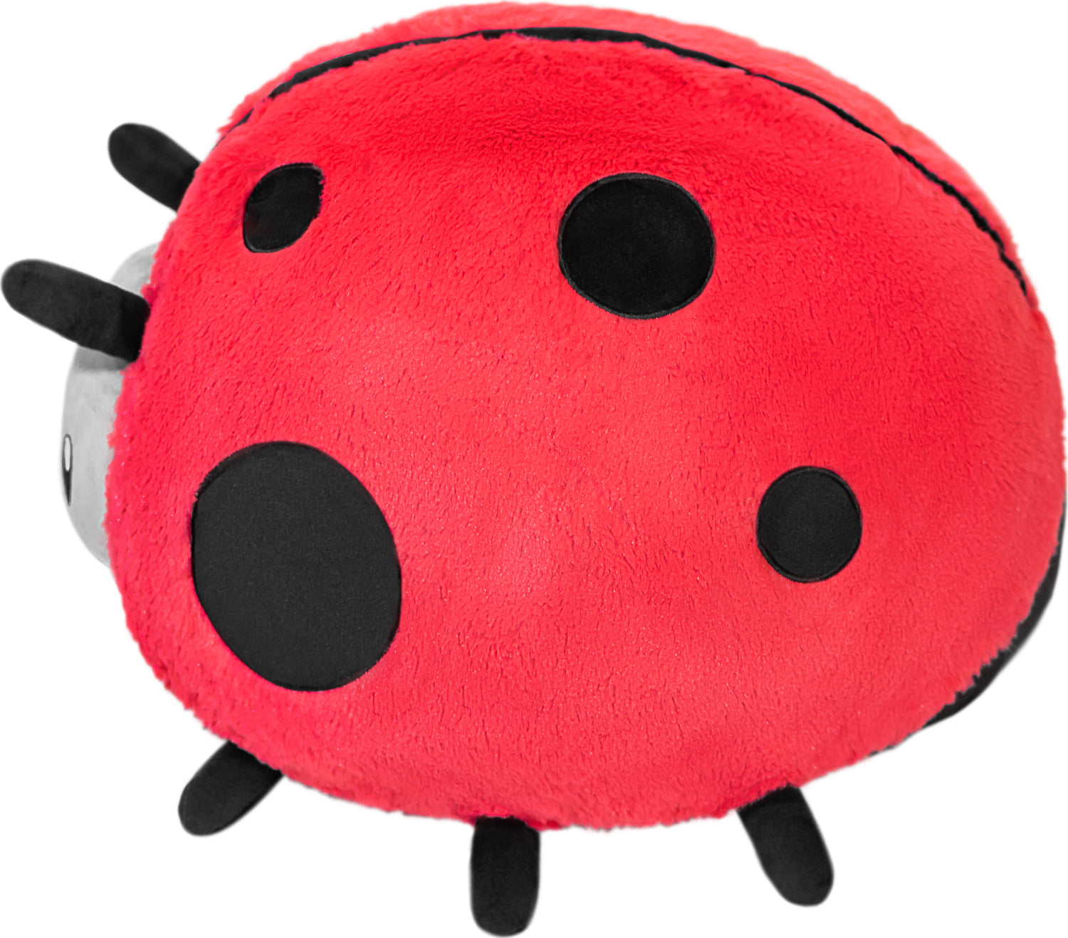 Ladybug II 15”