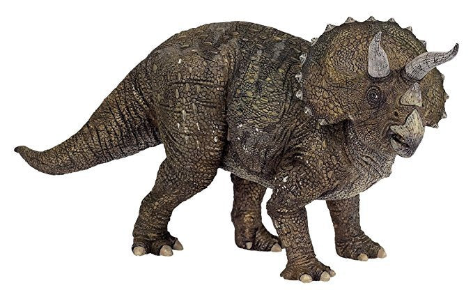 Triceratops