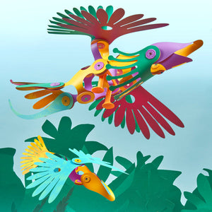 Clixo - Tropical Birds Pack