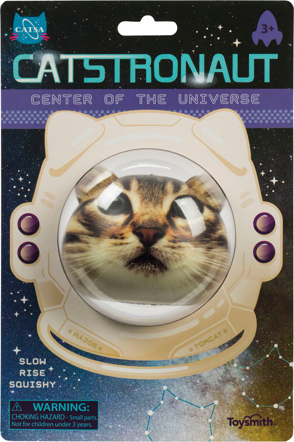 Catstronaut