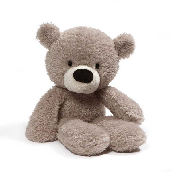 Fuzzy, Gray Teddy Bear
