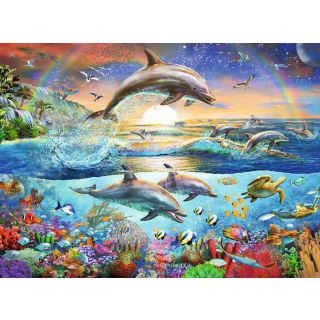 Dolphin Paradise 300 pc