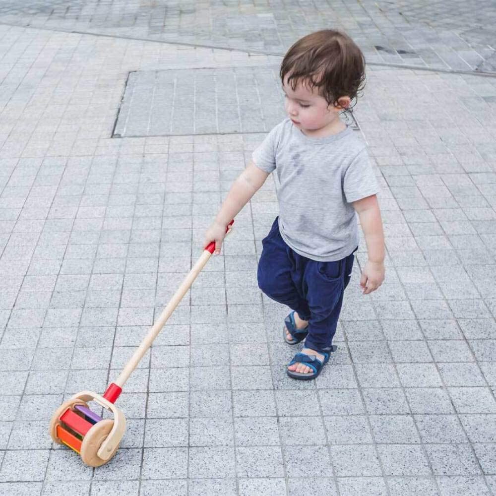 Push Along Walk N Roll