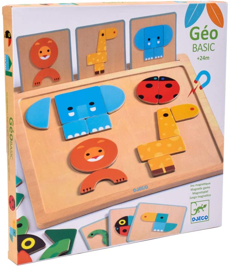 GeoBasic Magnetic Game