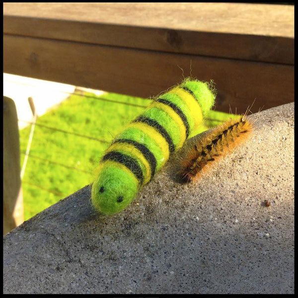 Needle Felting Kit - Bugs