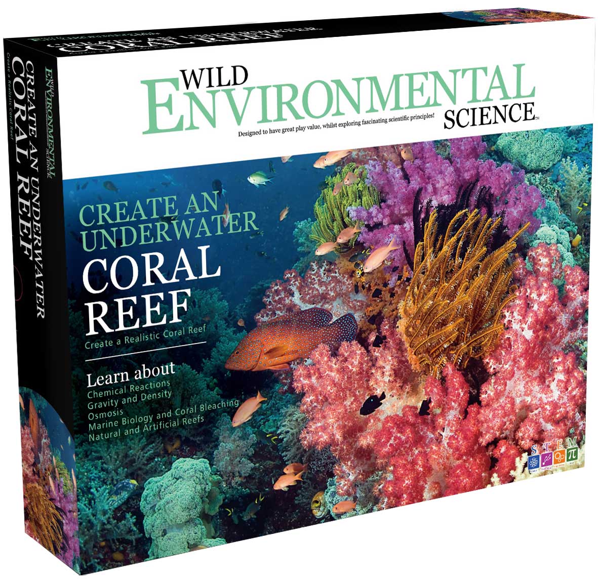 Create a Coral Reef - Wild Environmental Science