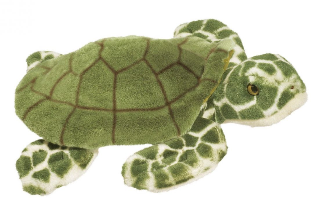 Toti Sea Turtle