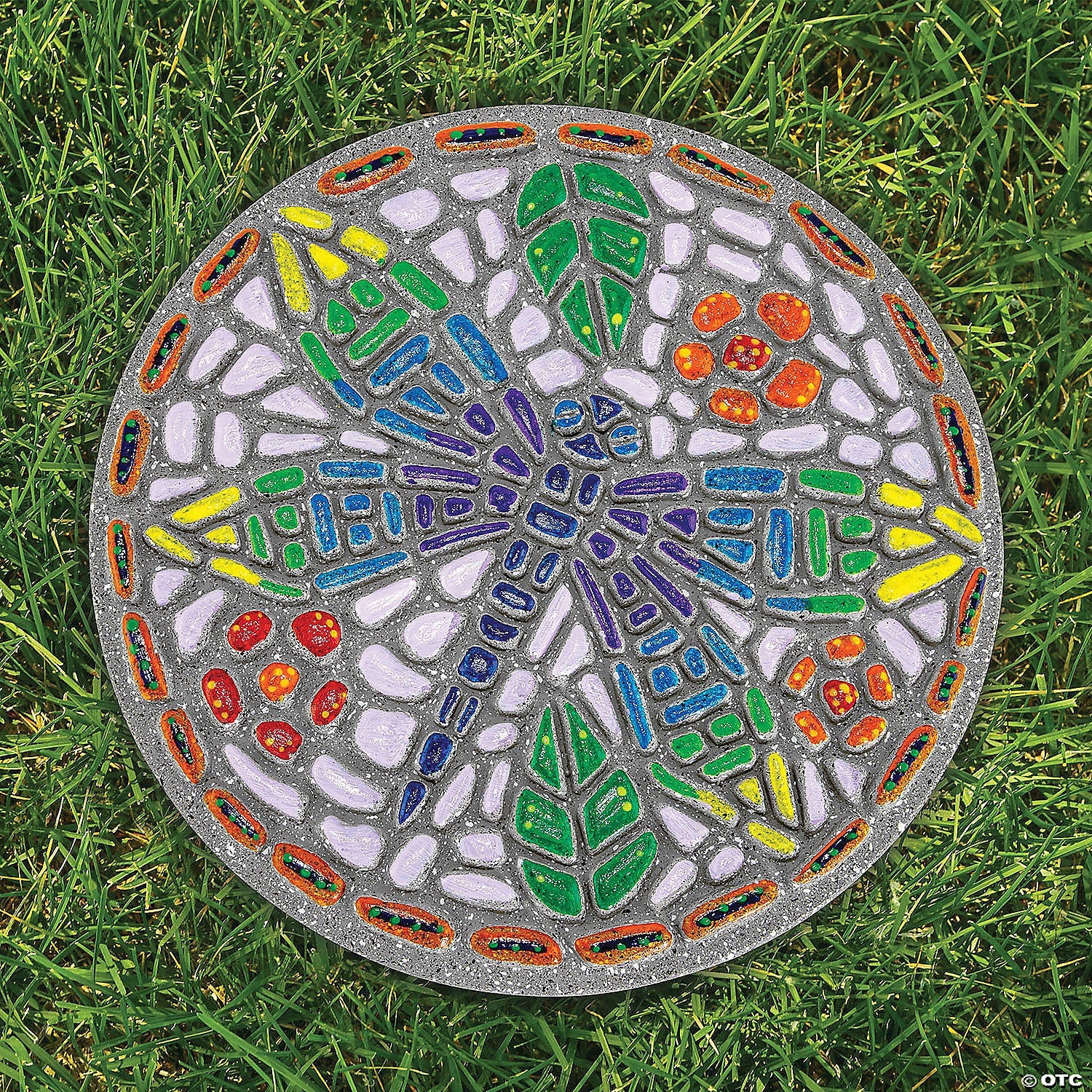 Dragonfly Stepping Stone